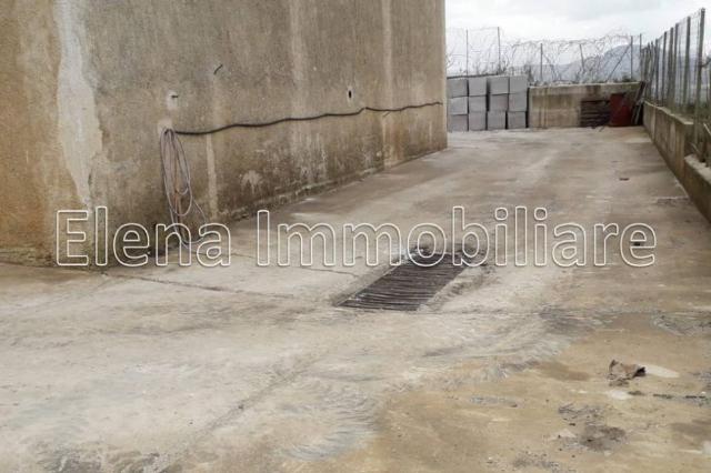 insertion image