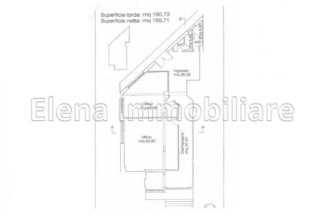insertion image