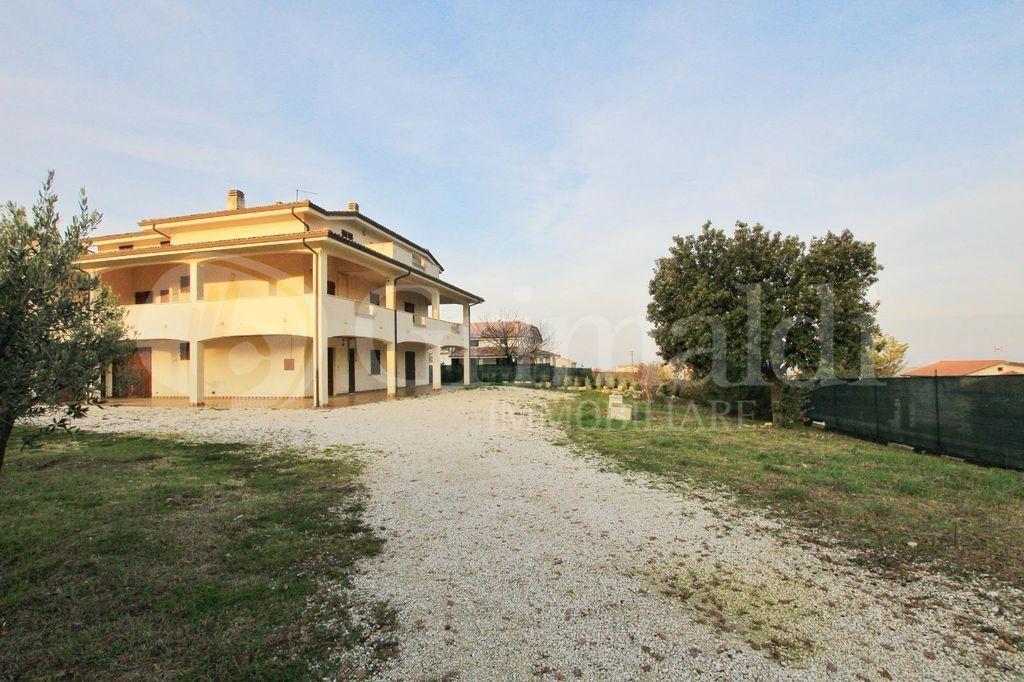 immagine annuncio 11 di 15