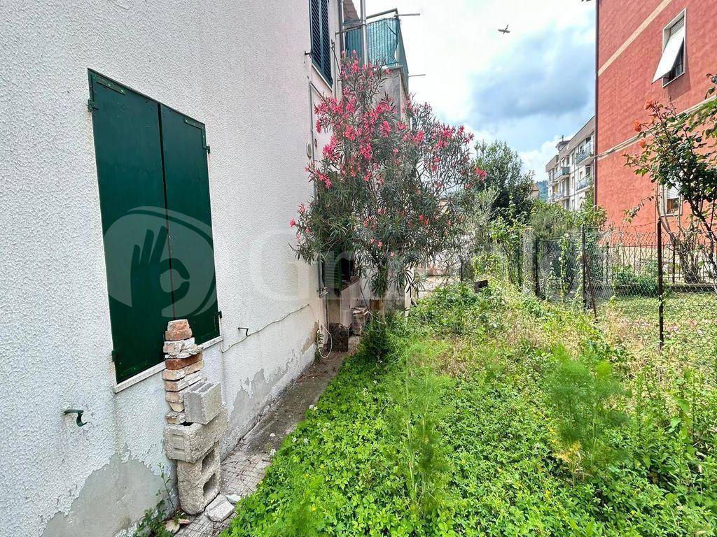 immagine annuncio 5 di 9