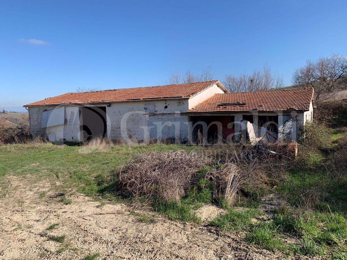 immagine annuncio 11 di 12