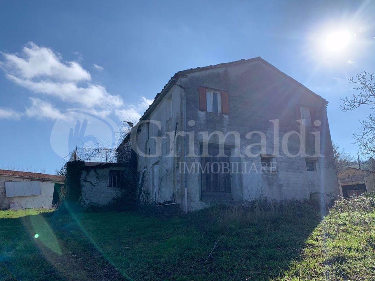 immagine annuncio 7 di 12