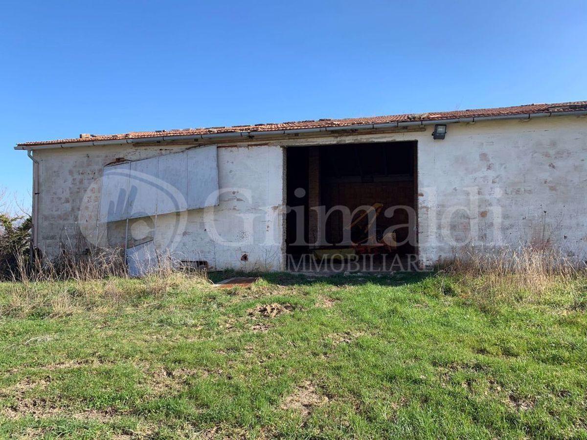 immagine annuncio 9 di 12