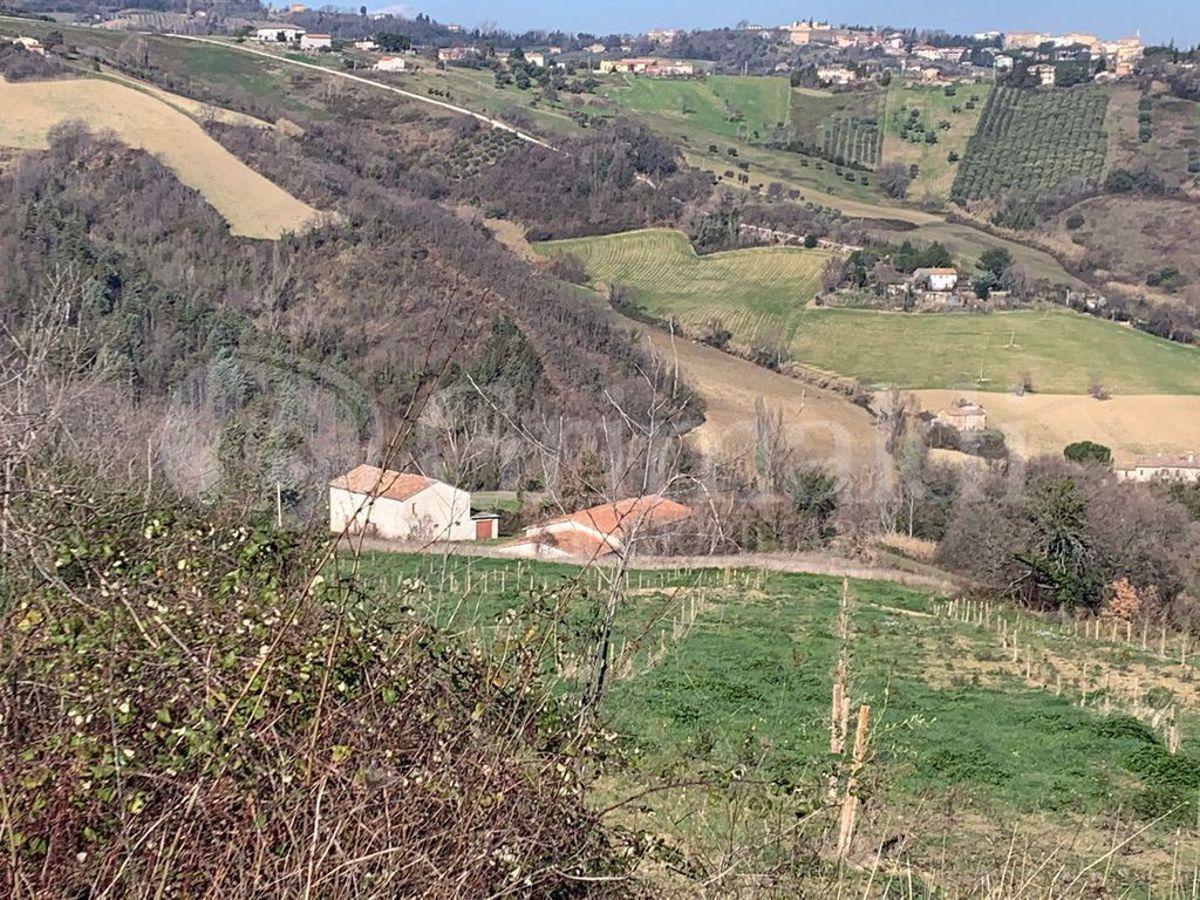 immagine annuncio 6 di 12