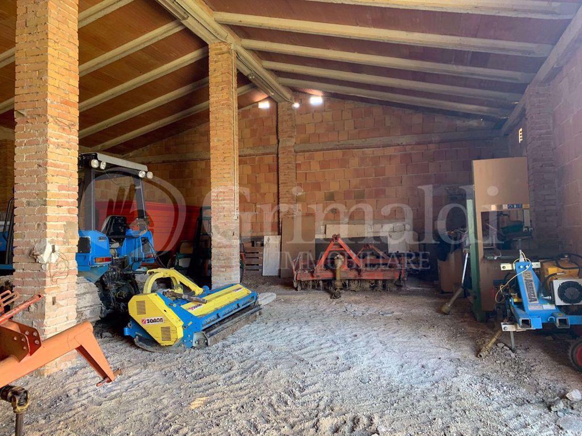 immagine annuncio 8 di 12