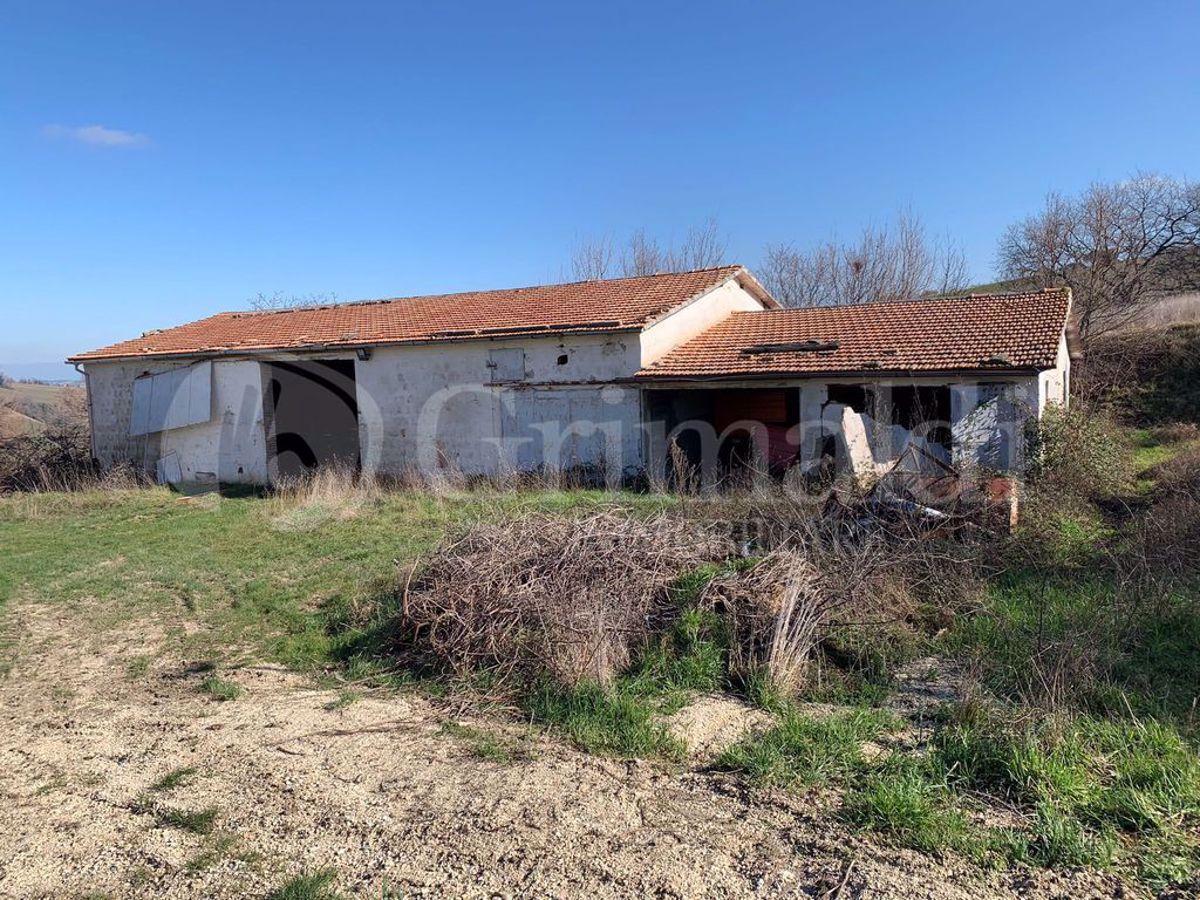 immagine annuncio 5 di 12