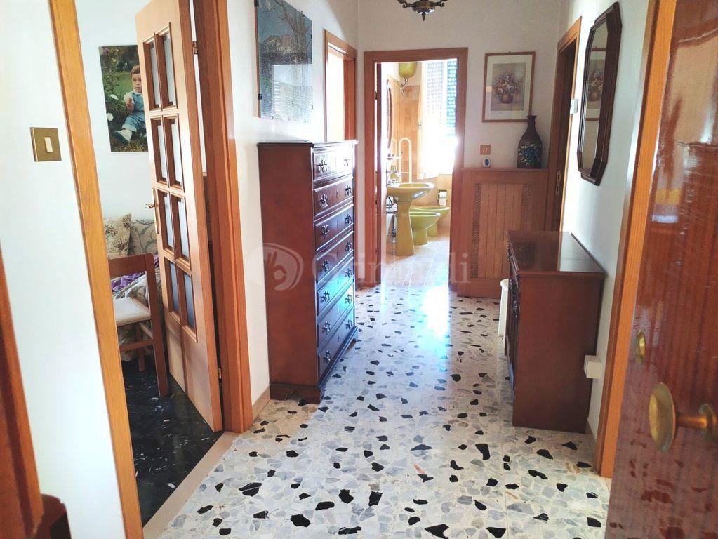 immagine annuncio 9 di 14