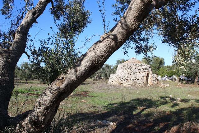 Trullo in {3}, - Photo 1