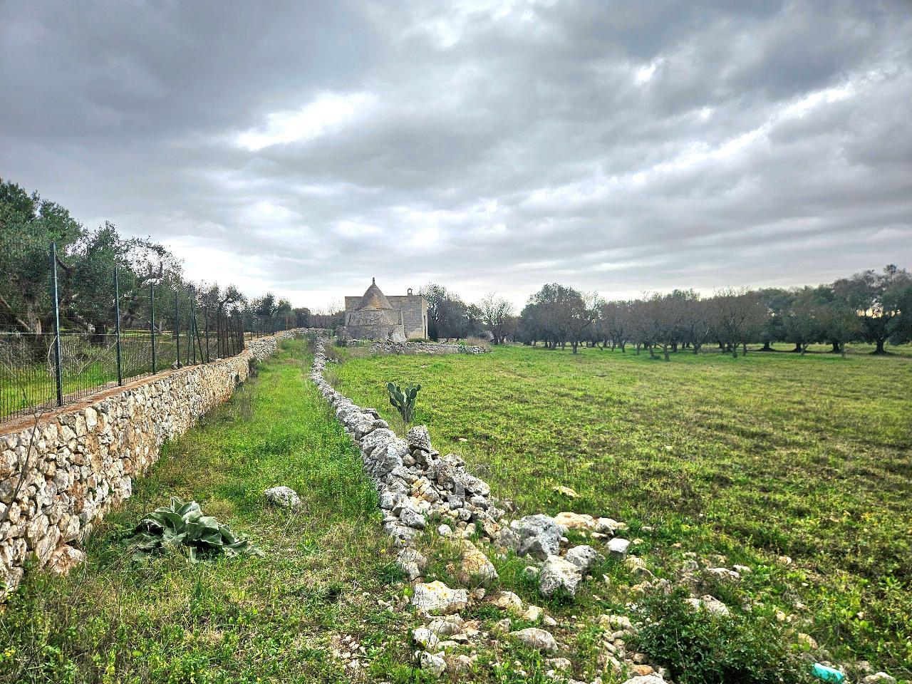 immagine annuncio 3 di 14