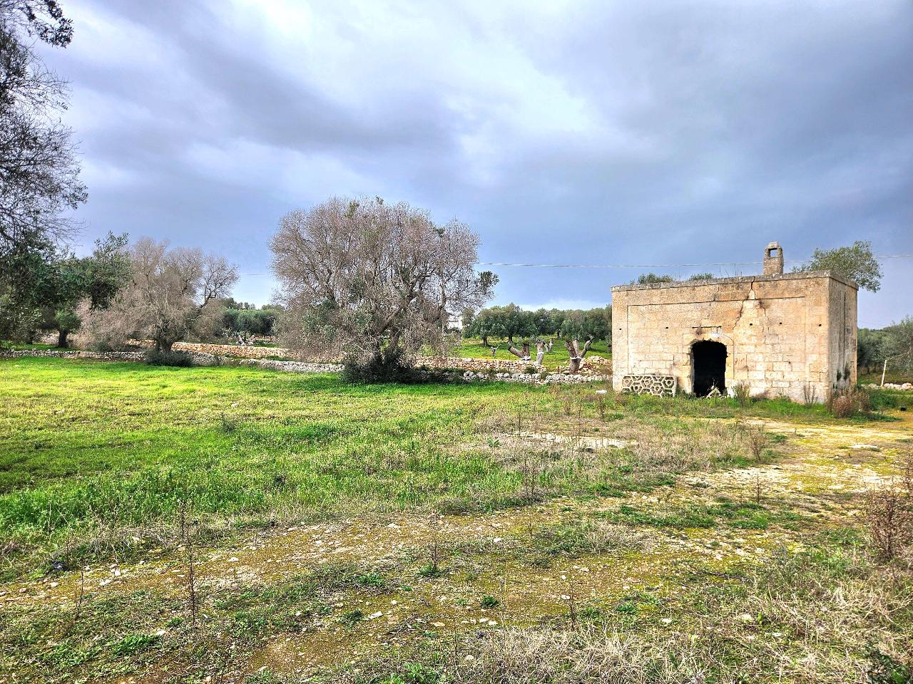 immagine annuncio 2 di 14