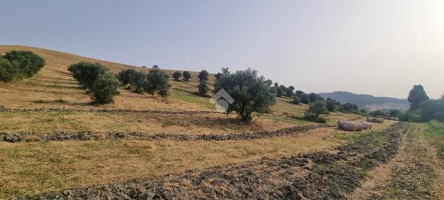 Terreno agricolo in Via Tagliamento, Catanzaro - Foto 1