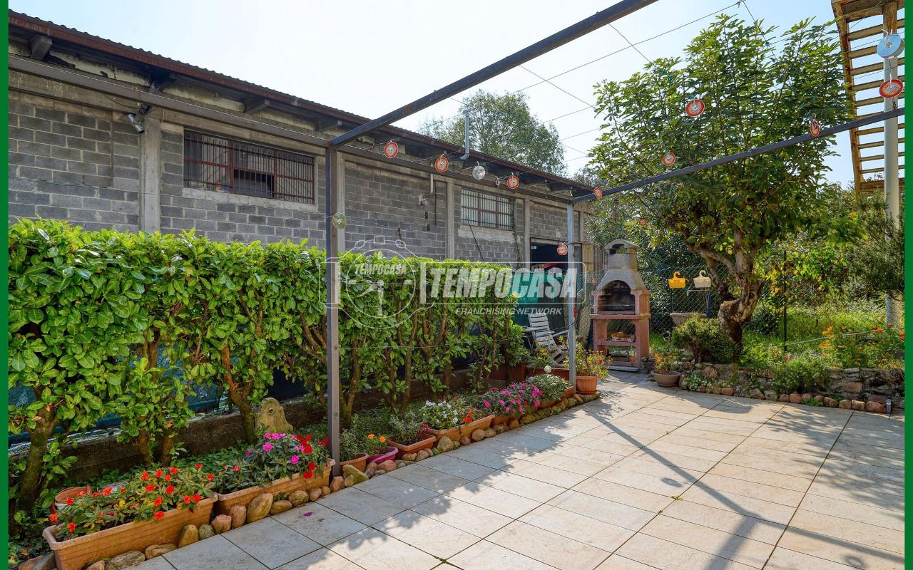 immagine annuncio 7 di 15