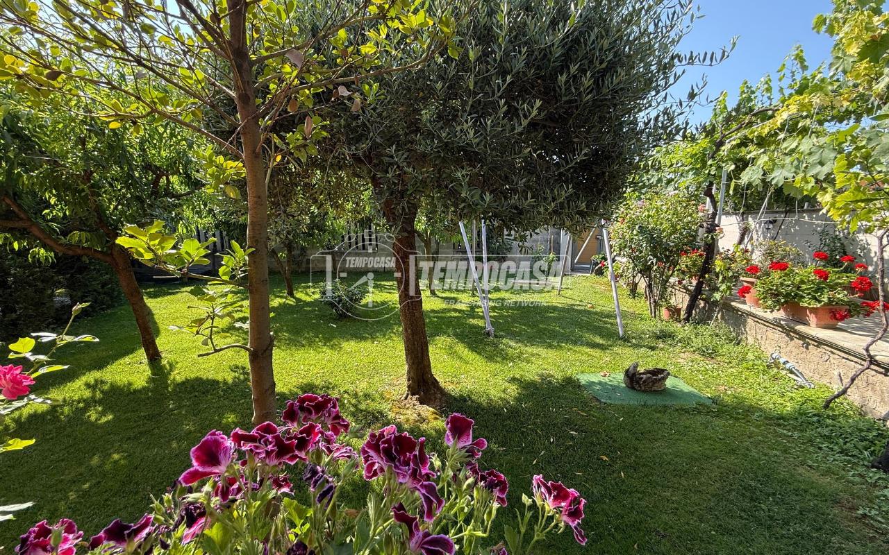 immagine annuncio 4 di 7