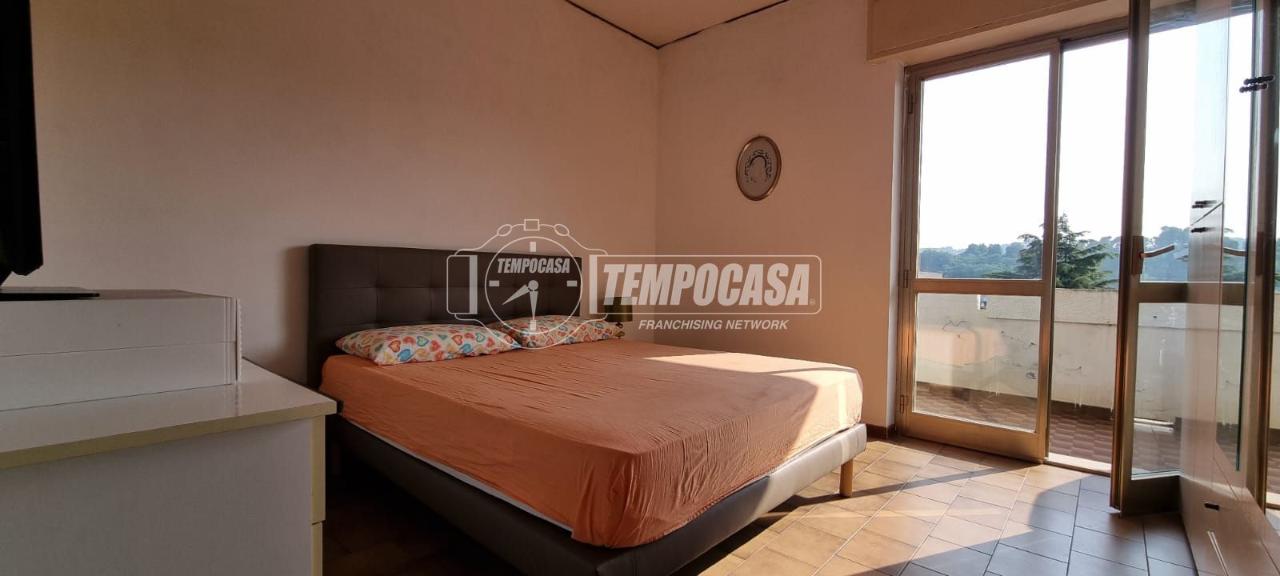 immagine annuncio 8 di 14