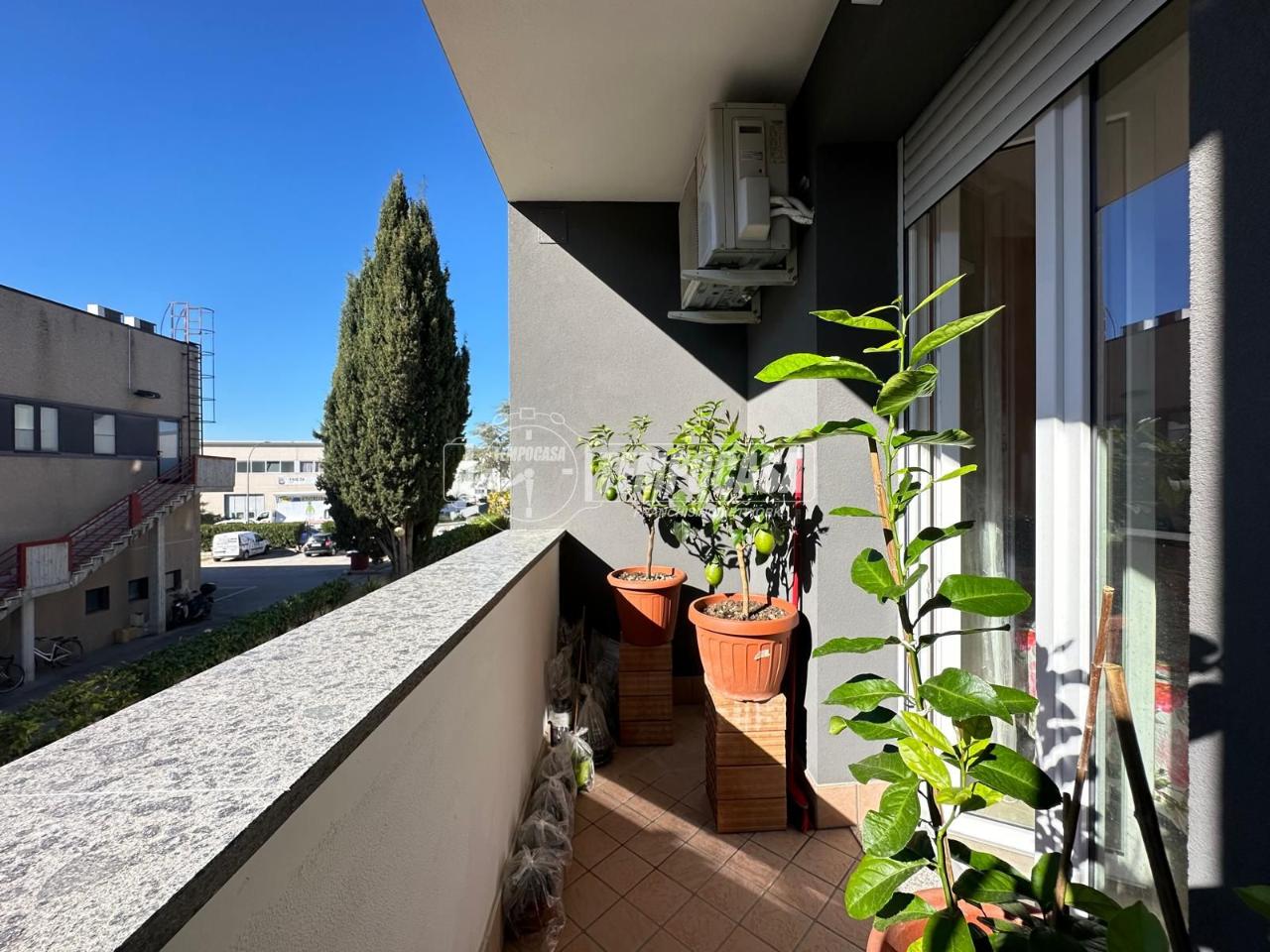 immagine annuncio 11 di 14