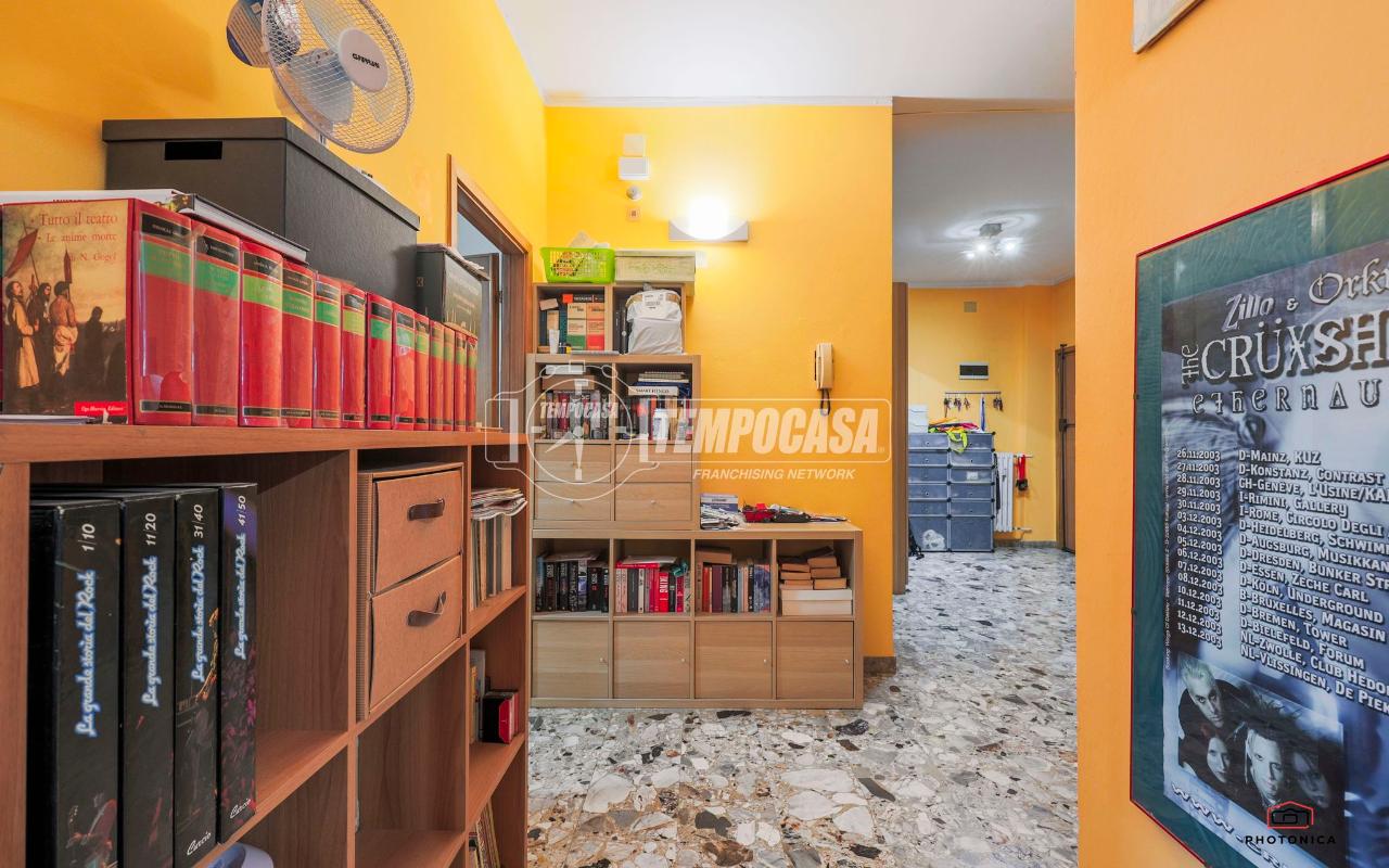 immagine annuncio 12 di 15