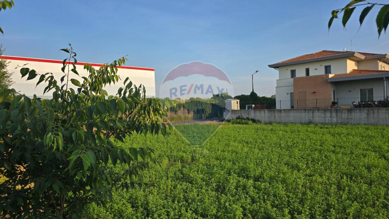 immagine annuncio 2 di 6