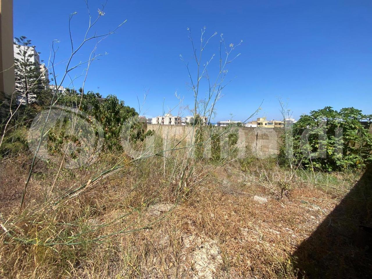 immagine annuncio 3 di 8