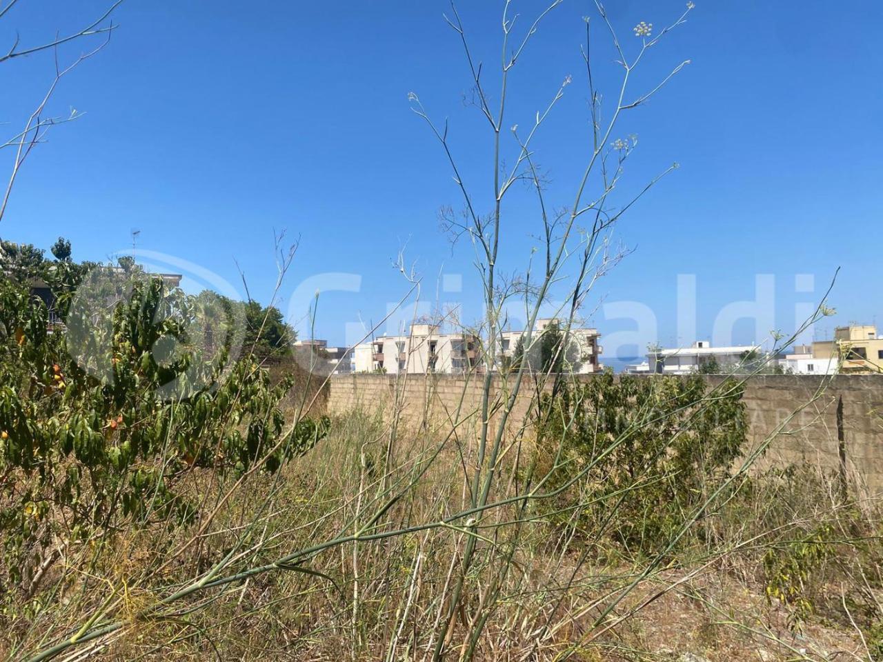 immagine annuncio 6 di 8