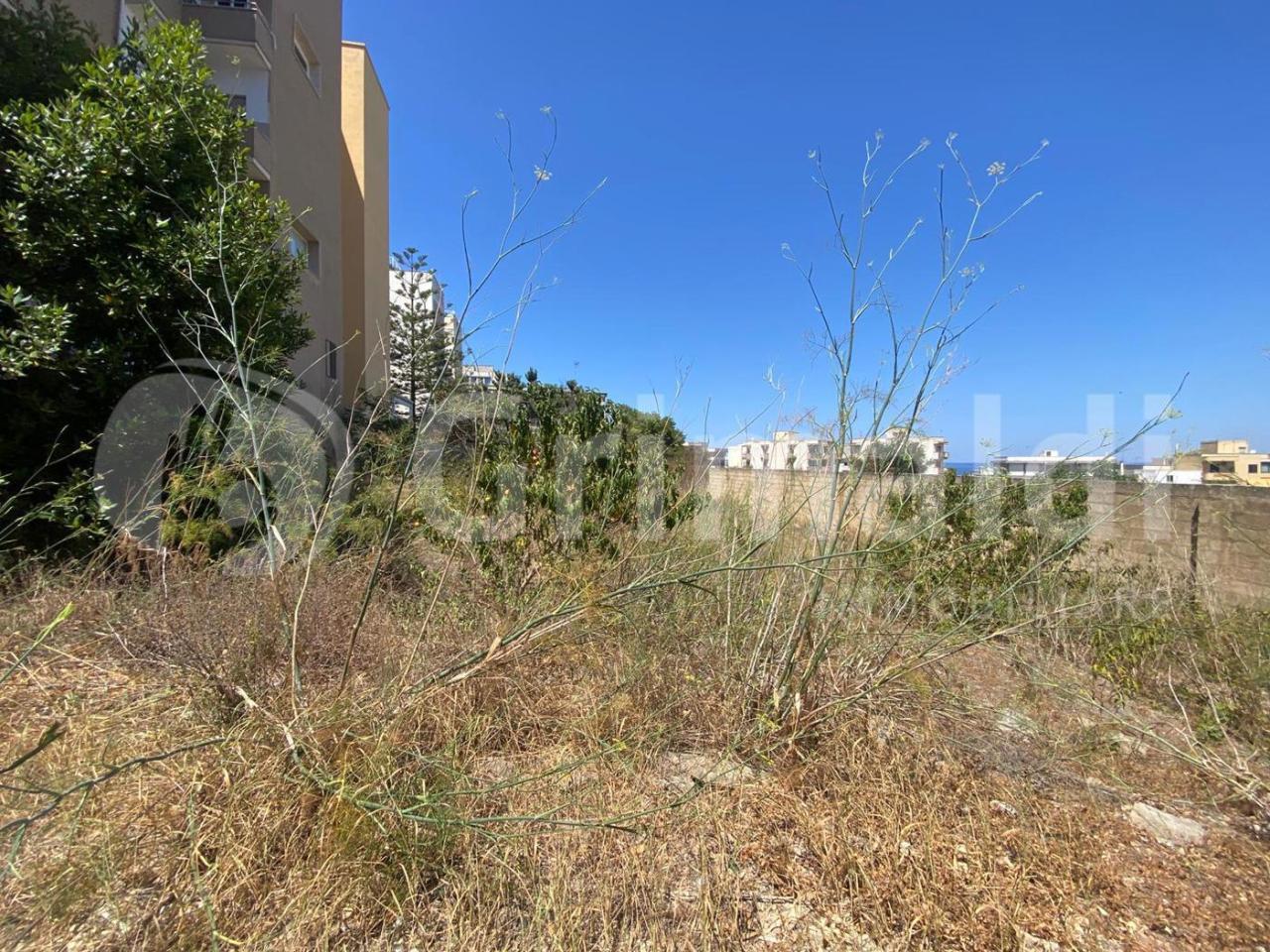 immagine annuncio 5 di 8