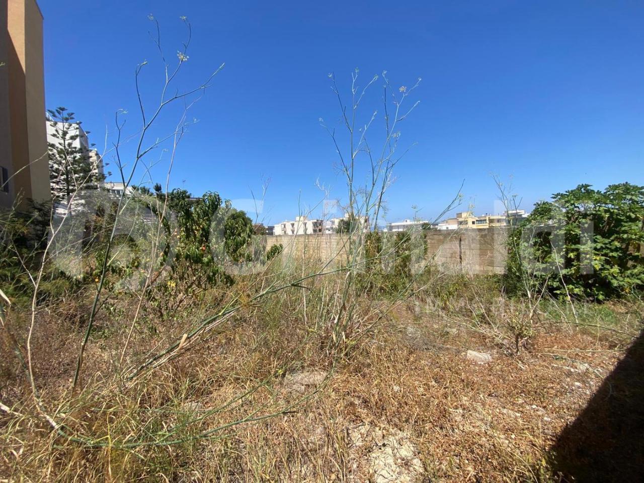 immagine annuncio 2 di 8