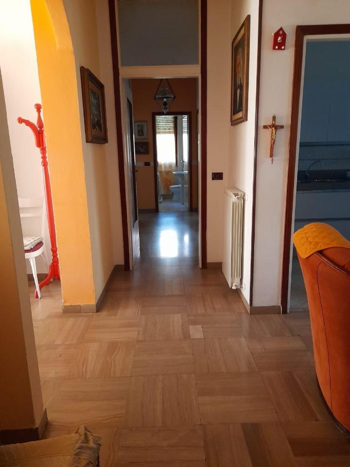 immagine annuncio 3 di 14