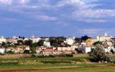 Capannone in LI, Collesalvetti, {3} - Foto 1