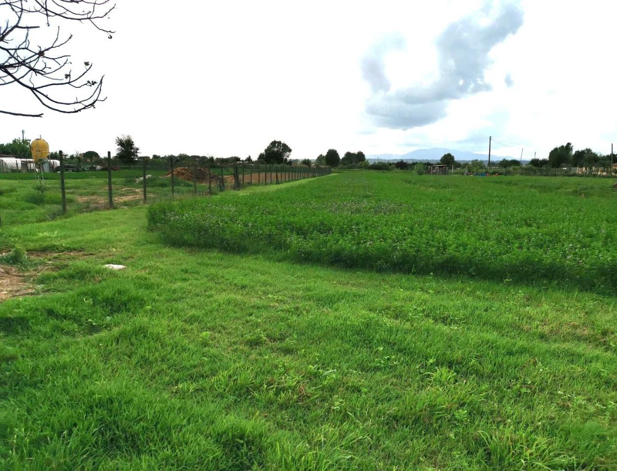 Terreno agricolo in vendita a Fucecchio