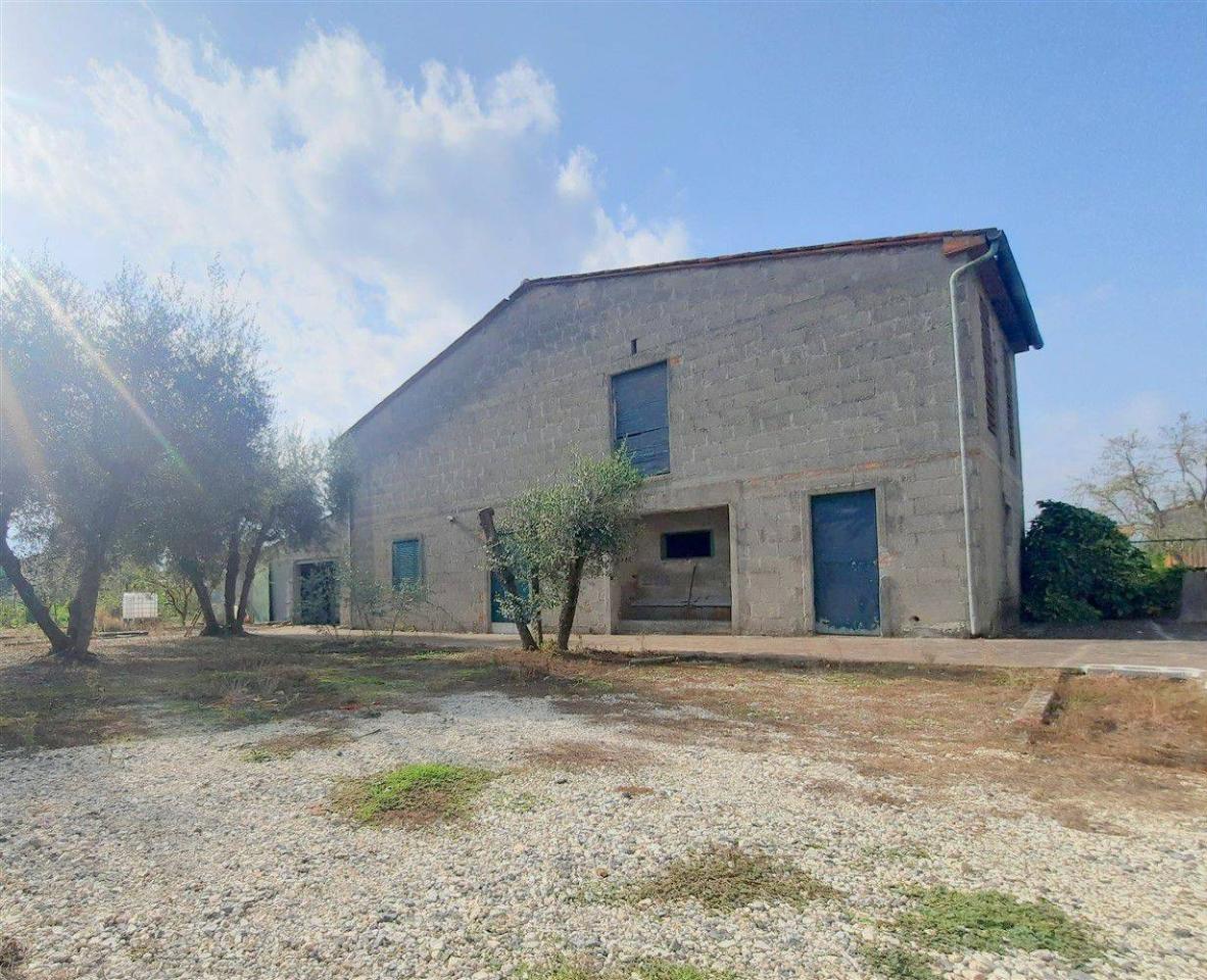 immagine annuncio 3 di 9
