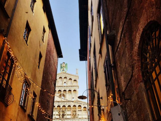 Geschäft in Viale delle Mura Urbane, Lucca - Foto 1