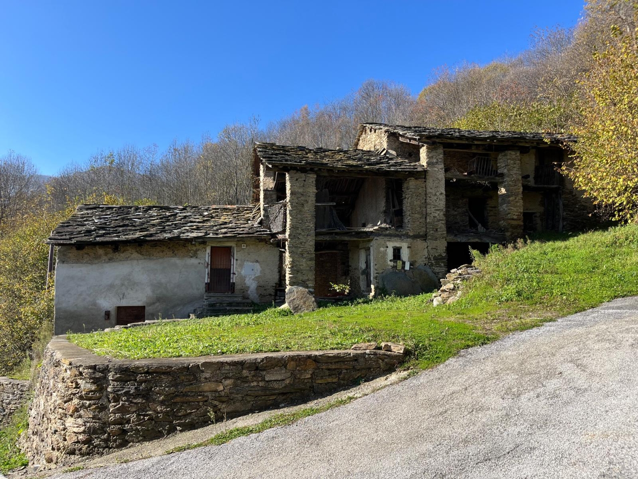 immagine annuncio 12 di 15