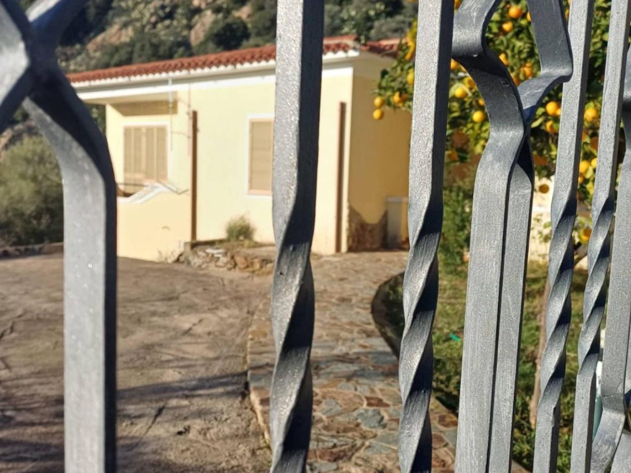 immagine annuncio 5 di 14