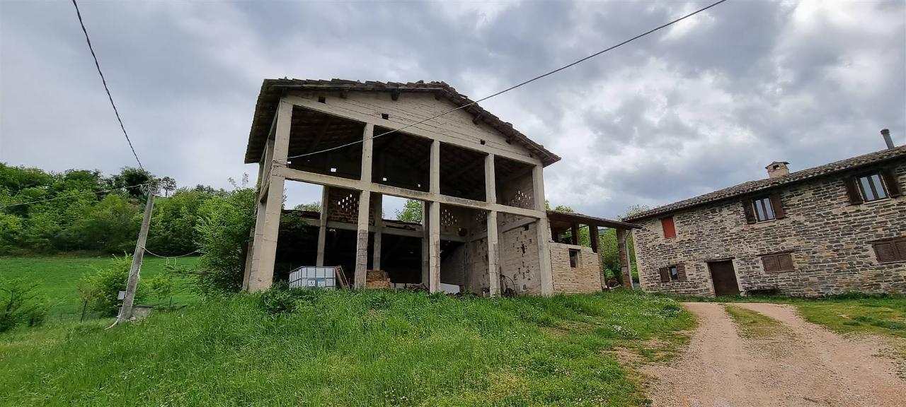 Azienda agricola in , San Severino Marche, {3} - Foto 2