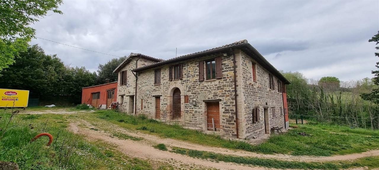 Azienda agricola in vendita a San Severino Marche