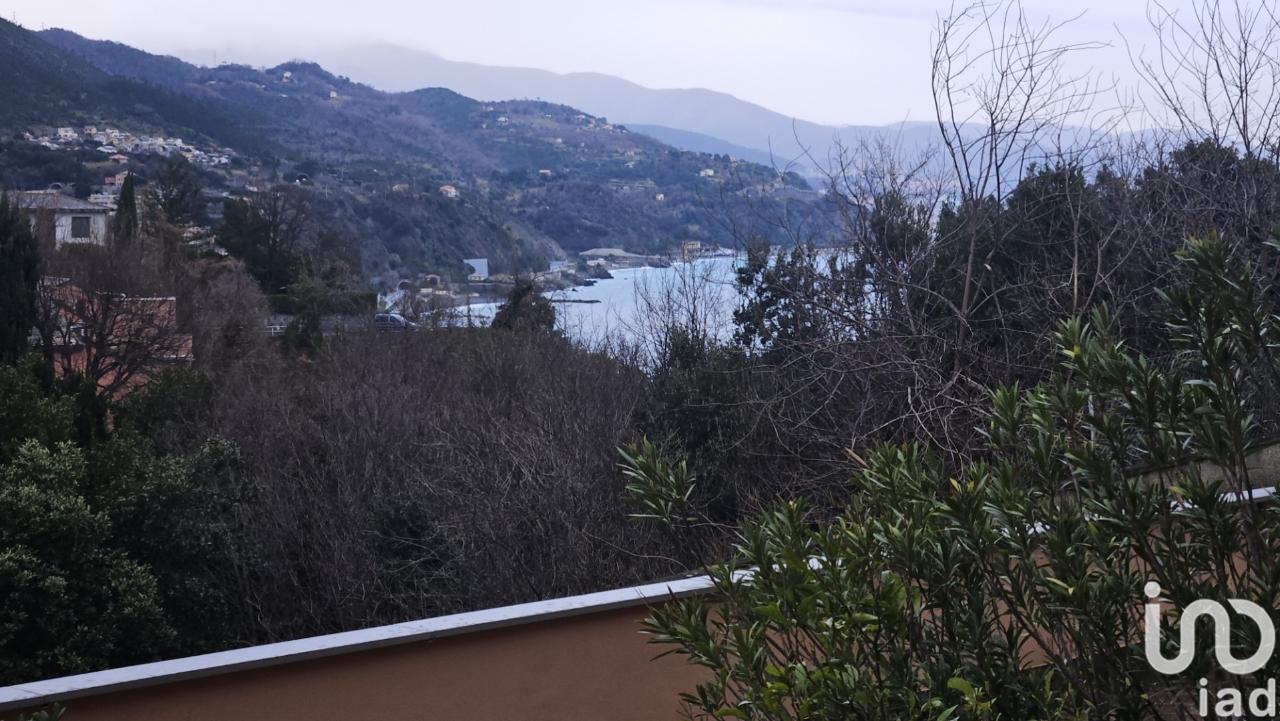 immagine annuncio 10 di 14