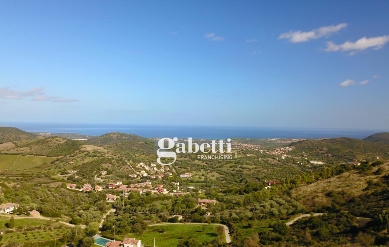 immagine annuncio 13 di 14