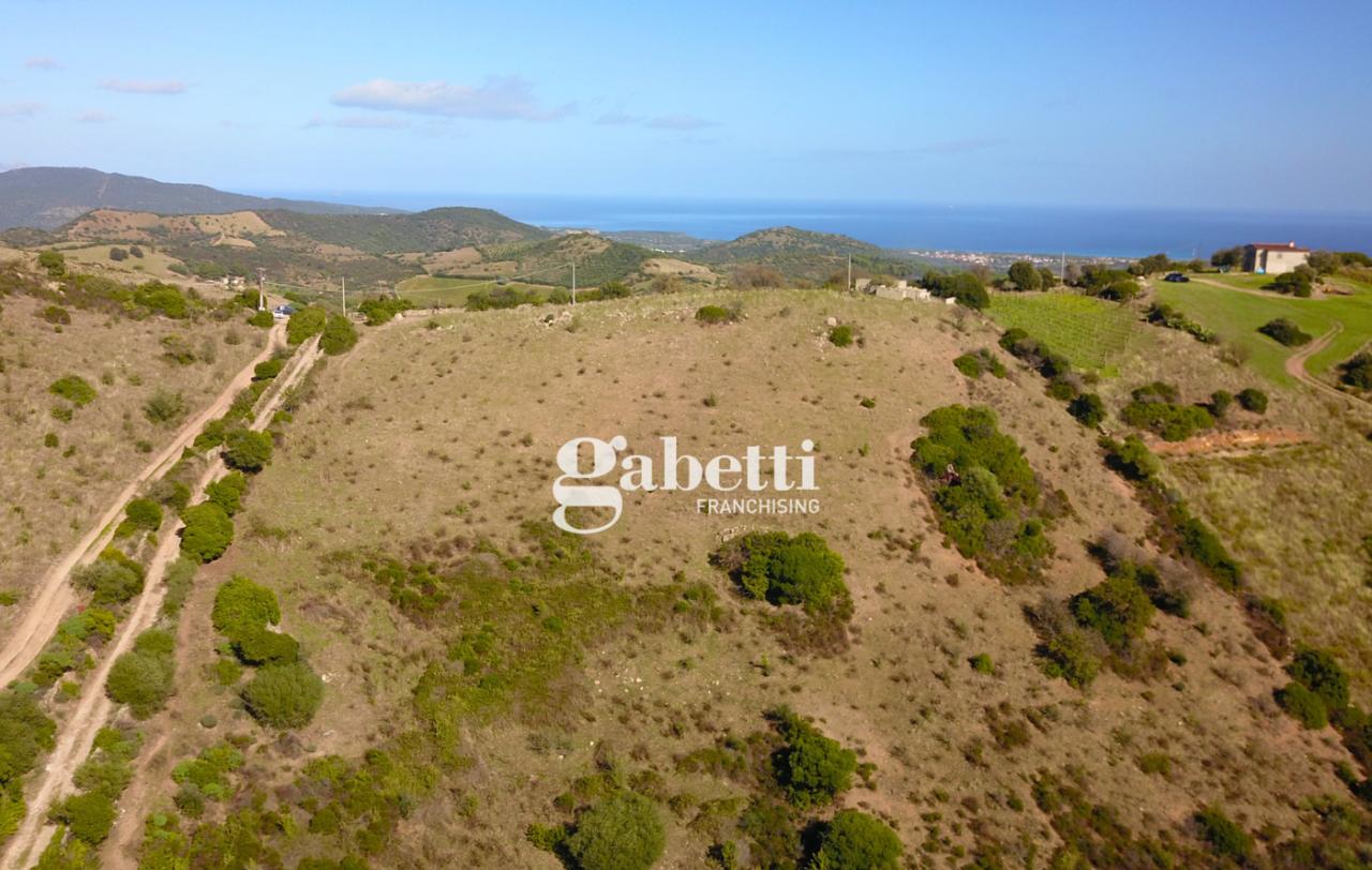 immagine annuncio 5 di 14