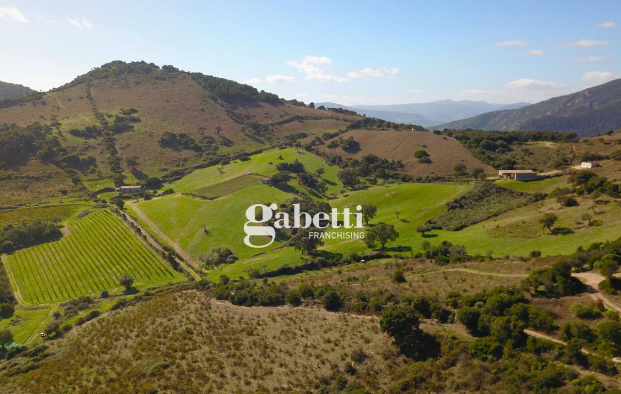 immagine annuncio 6 di 14