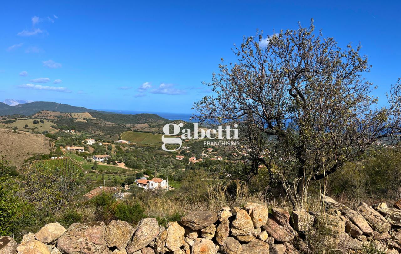 immagine annuncio 10 di 14