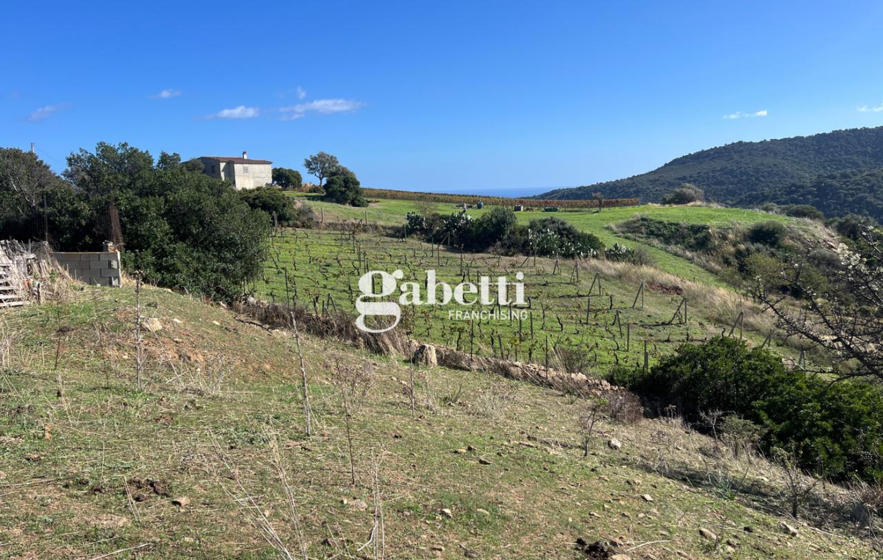 immagine annuncio 9 di 14