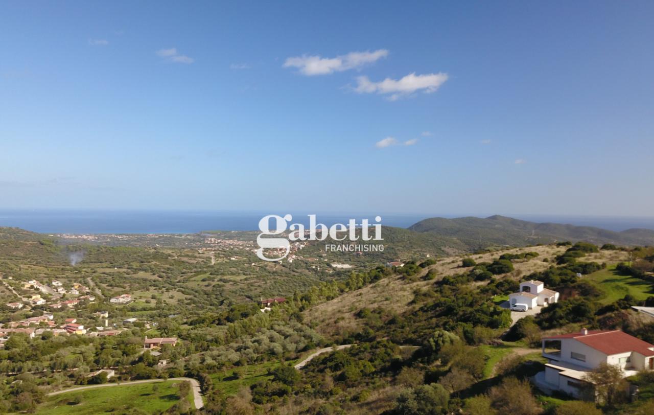 immagine annuncio 12 di 14