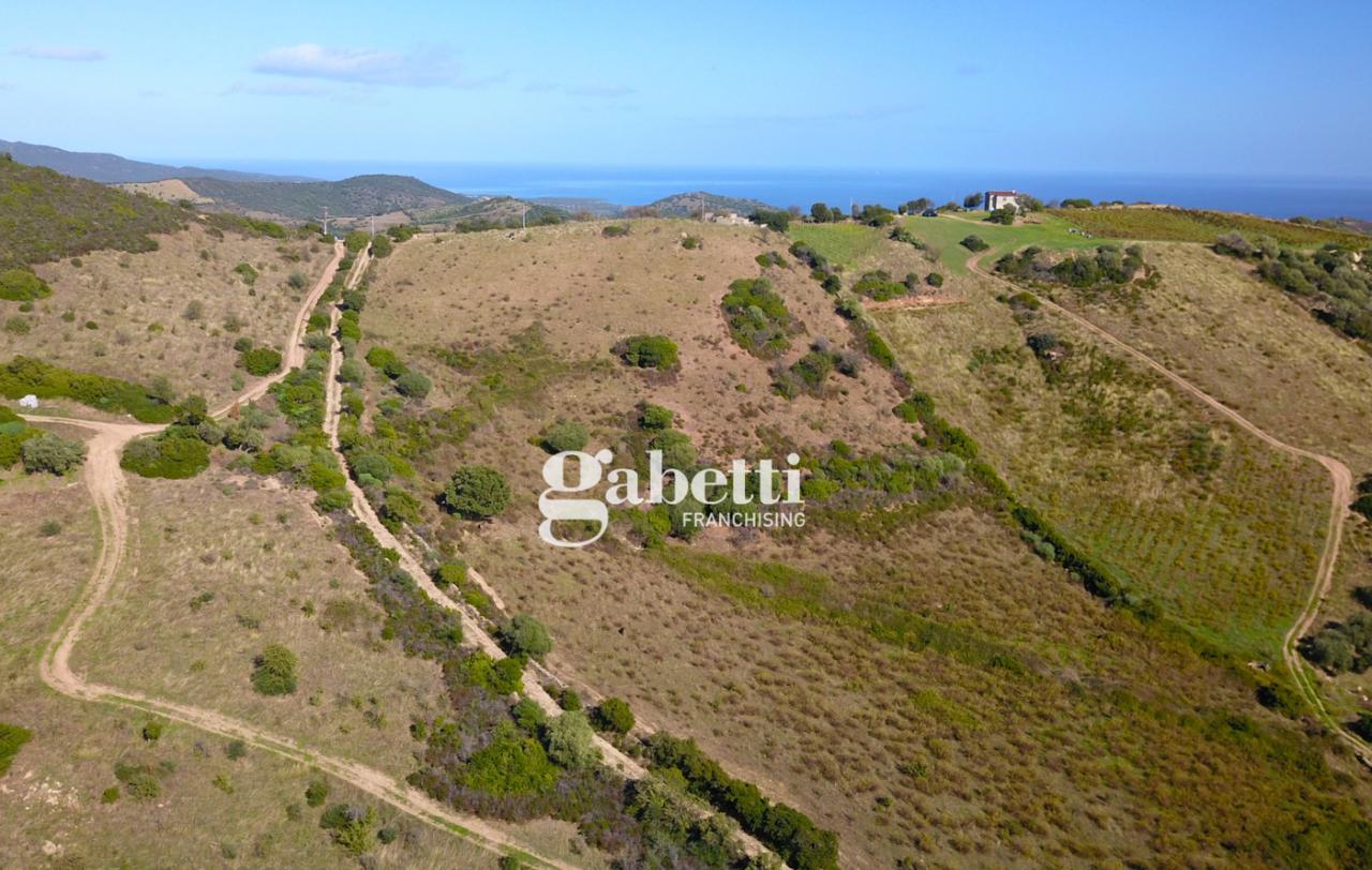 immagine annuncio 8 di 14