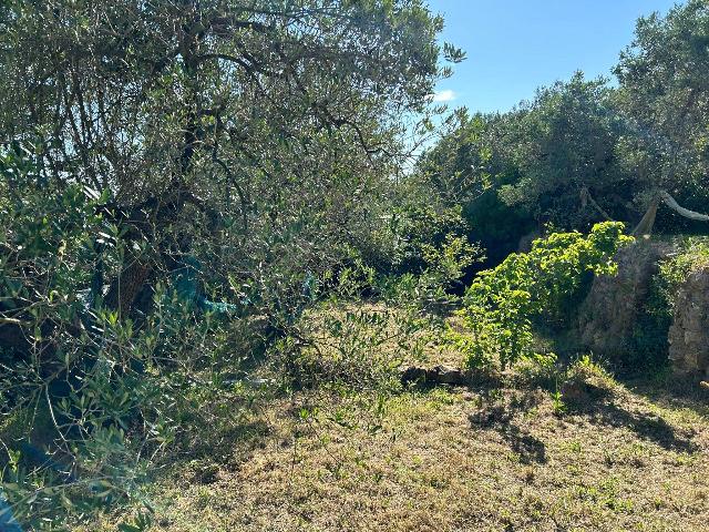 Terreno agricolo in {3}, Via Guadalajara - Foto 1