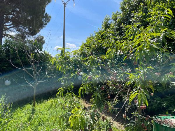 immagine annuncio 4 di 6