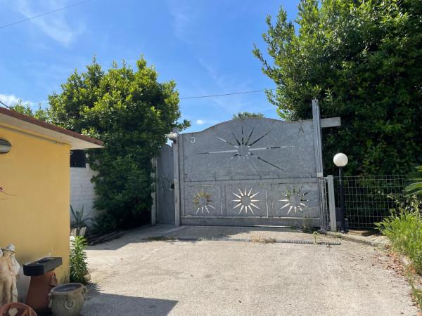 immagine annuncio 5 di 6