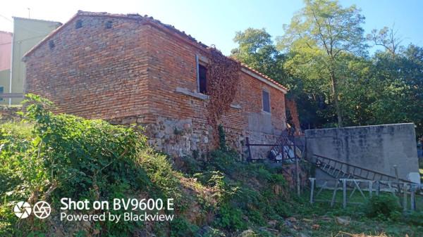 immagine annuncio 6 di 11