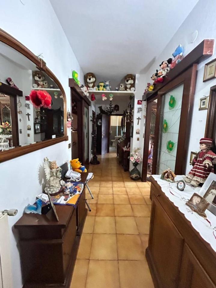 immagine annuncio 10 di 14