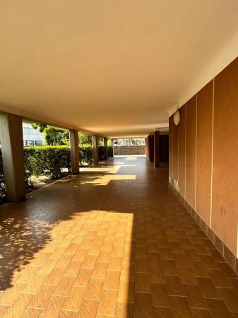 immagine annuncio 13 di 14