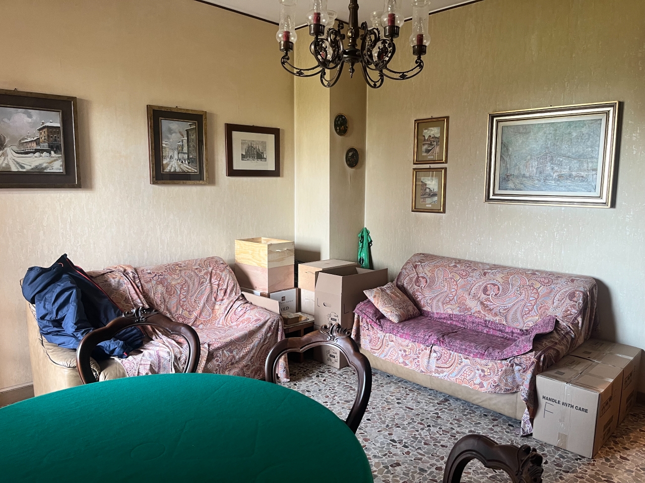 immagine annuncio 5 di 15