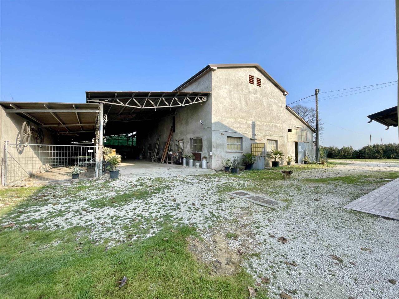 immagine annuncio 11 di 15
